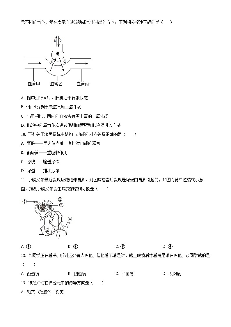 江西省宜春市丰城市第九中学2024-2025学年八年级上学期开学考试生物试题(原卷版)第3页