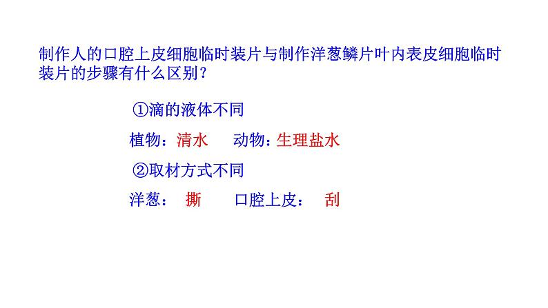 1.2.3 动物细胞 课件 2024-2025学年人教版(2024)生物七年级上册08