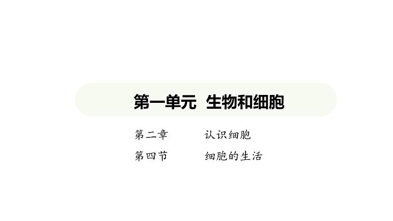 1.2.4细胞的生活课件 2024-2025学年人教版(2024)生物七年级上册第1页