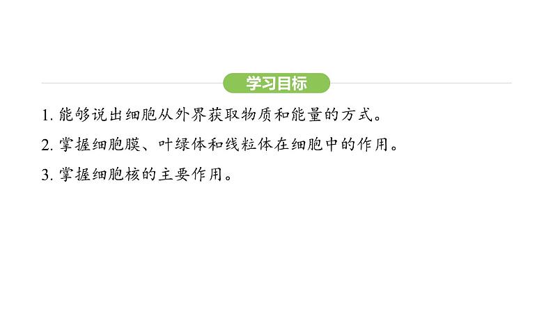 1.2.4细胞的生活课件 2024-2025学年人教版(2024)生物七年级上册第2页