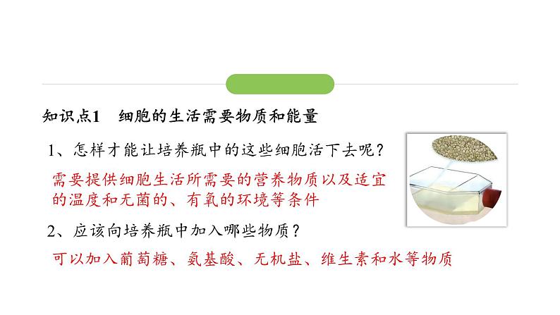 1.2.4细胞的生活课件 2024-2025学年人教版(2024)生物七年级上册第4页