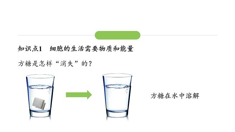 1.2.4细胞的生活课件 2024-2025学年人教版(2024)生物七年级上册第5页