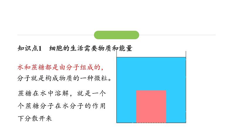 1.2.4细胞的生活课件 2024-2025学年人教版(2024)生物七年级上册第6页