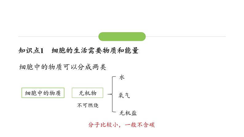 1.2.4细胞的生活课件 2024-2025学年人教版(2024)生物七年级上册第7页