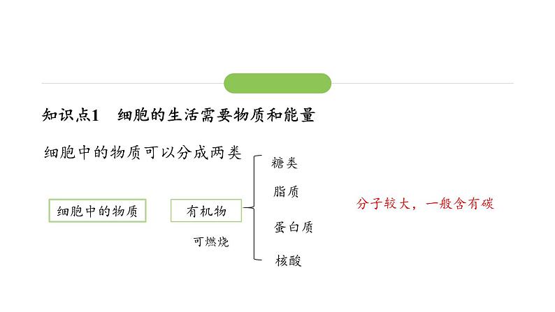 1.2.4细胞的生活课件 2024-2025学年人教版(2024)生物七年级上册第8页