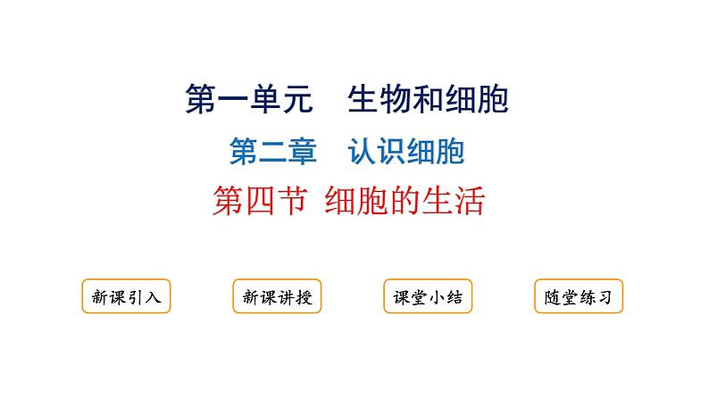 1.2.4细胞的生活课件2024-2025学年人教版(2024)生物七年级上册01