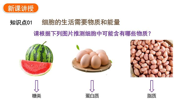 1.2.4细胞的生活课件2024-2025学年人教版(2024)生物七年级上册04