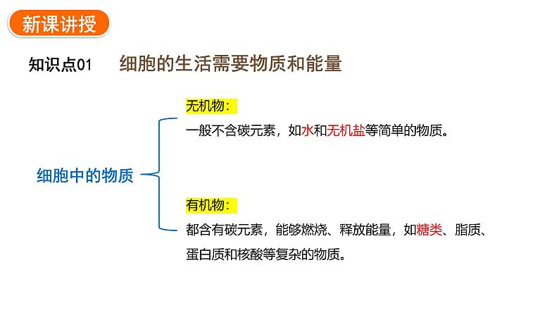 1.2.4细胞的生活课件2024-2025学年人教版(2024)生物七年级上册05