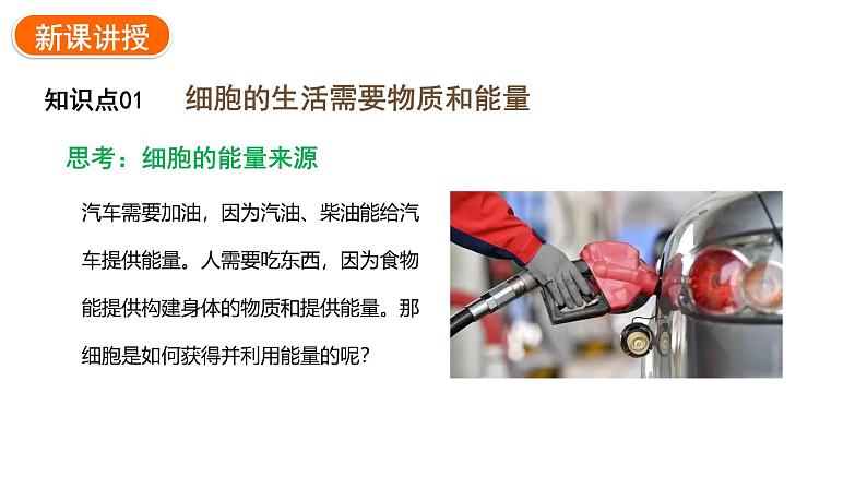 1.2.4细胞的生活课件2024-2025学年人教版(2024)生物七年级上册07