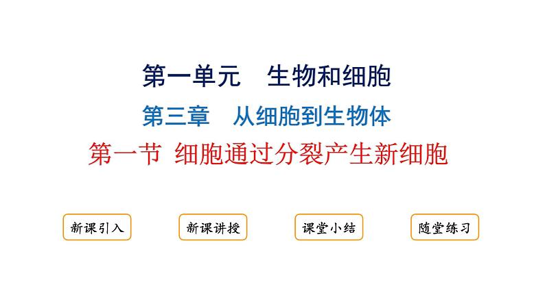 1.3.1细胞通过分裂产生新细胞课件2024-2025学年人教版(2024)生物七年级上册01