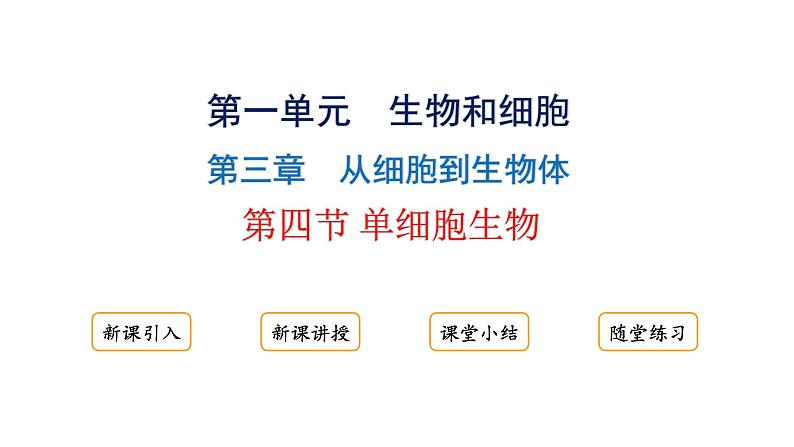 1.3.4单细胞生物课件2024-2025学年人教版(2024)生物七年级上册01