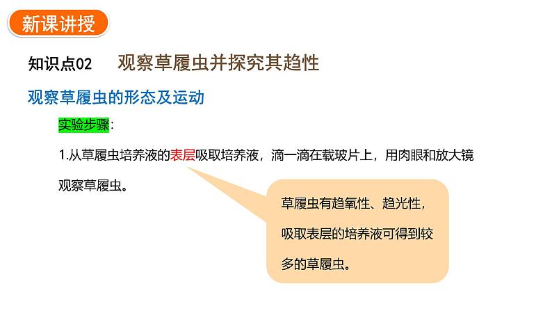 1.3.4单细胞生物课件2024-2025学年人教版(2024)生物七年级上册06