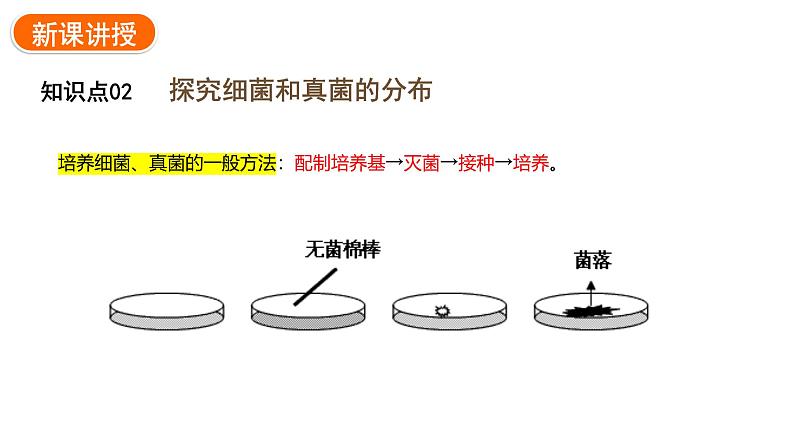 2.3.1微生物的分布课件2024-2025学年人教版(2024)生物七年级上册07