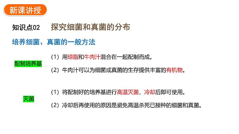 2.3.1微生物的分布课件2024-2025学年人教版(2024)生物七年级上册08