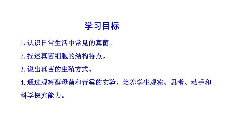 2.3.3 真菌 课件2024-2025学年人教版(2024)生物七年级上册03