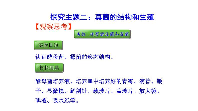 2.3.3 真菌 课件2024-2025学年人教版(2024)生物七年级上册07