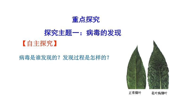 2.3.4病毒 课件2024-2025学年人教版(2024)生物七年级上册第4页