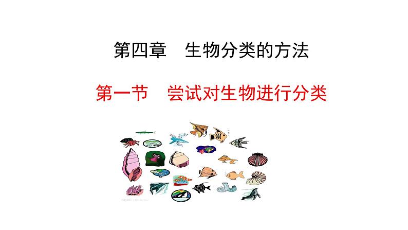 2.4.1尝试对生物进行分类 课件2024-2025学年人教版(2024)生物七年级上册01