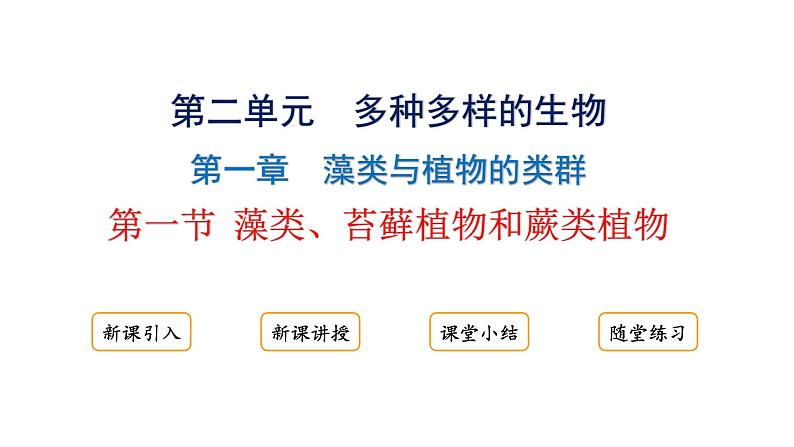 2.1.1藻类、苔藓植物和蕨类植物课件2024-2025学年人教版(2024)生物七年级上册01