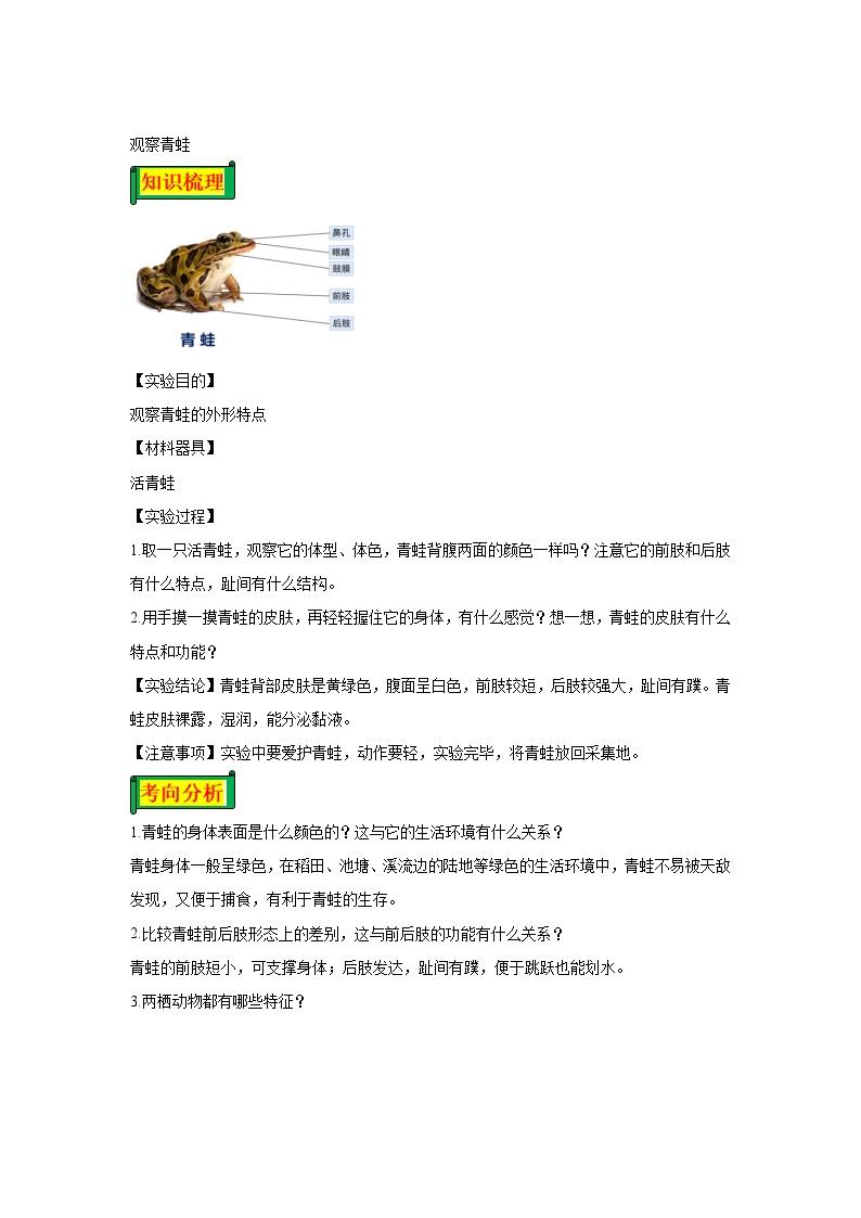 03 观察青蛙-八年级实验-2024-2025学年度初中生物微专题实验探索学案