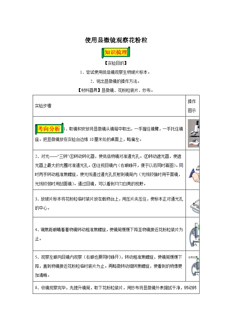 07 使用显微镜观察花粉粒-七年级实验-2024-2025学年度初中生物微专题实验探索学案