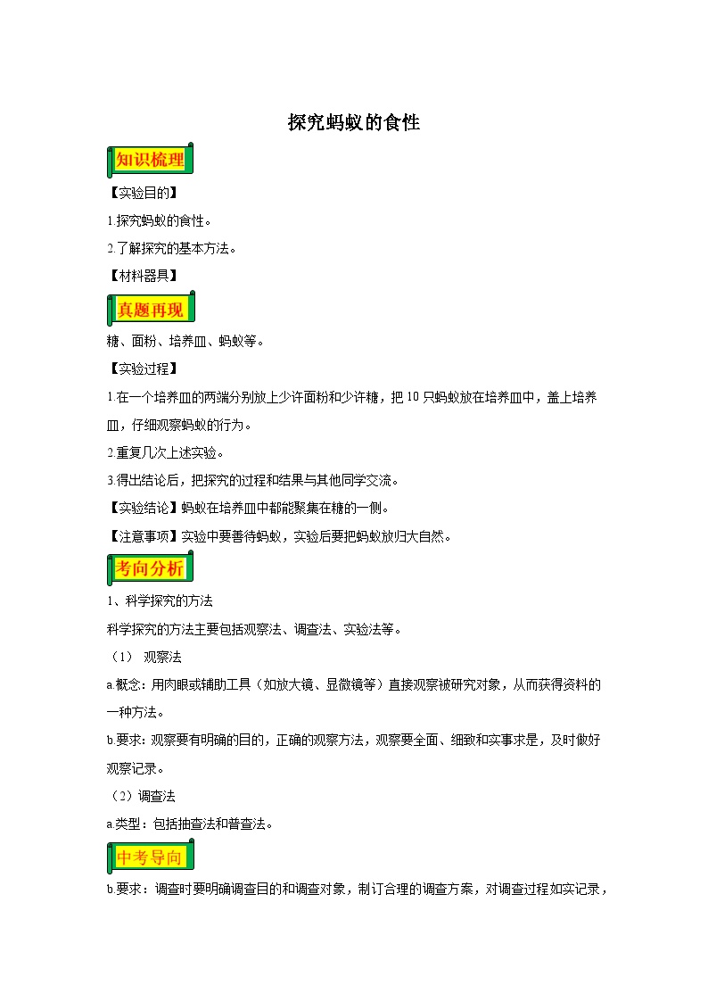 07 探究蚂蚁的食性-八年级实验-2024-2025学年度初中生物微专题实验探索学案