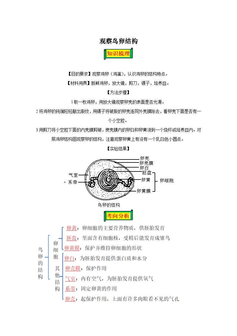 10 观察鸟卵结构-八年级实验-2024-2025学年度初中生物微专题实验探索学案