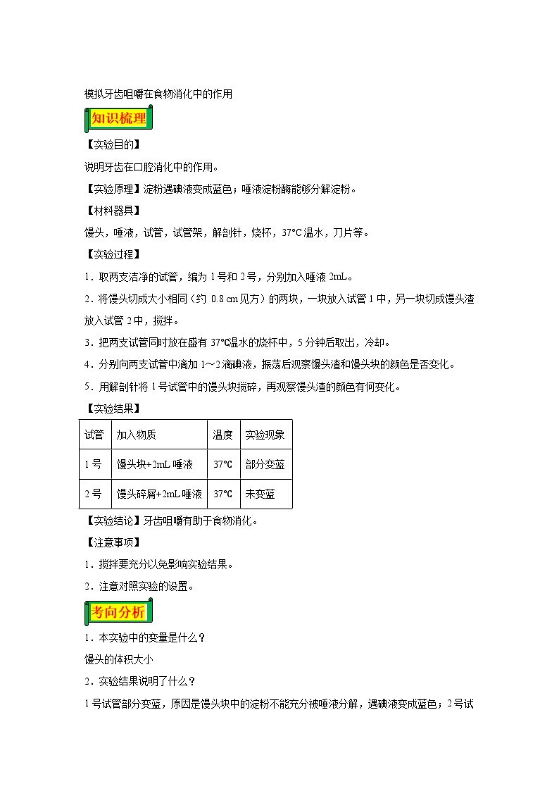 13 模拟牙齿咀嚼在食物消化中的作用-七年级实验-2024-2025学年度初中生物微专题实验探索学案