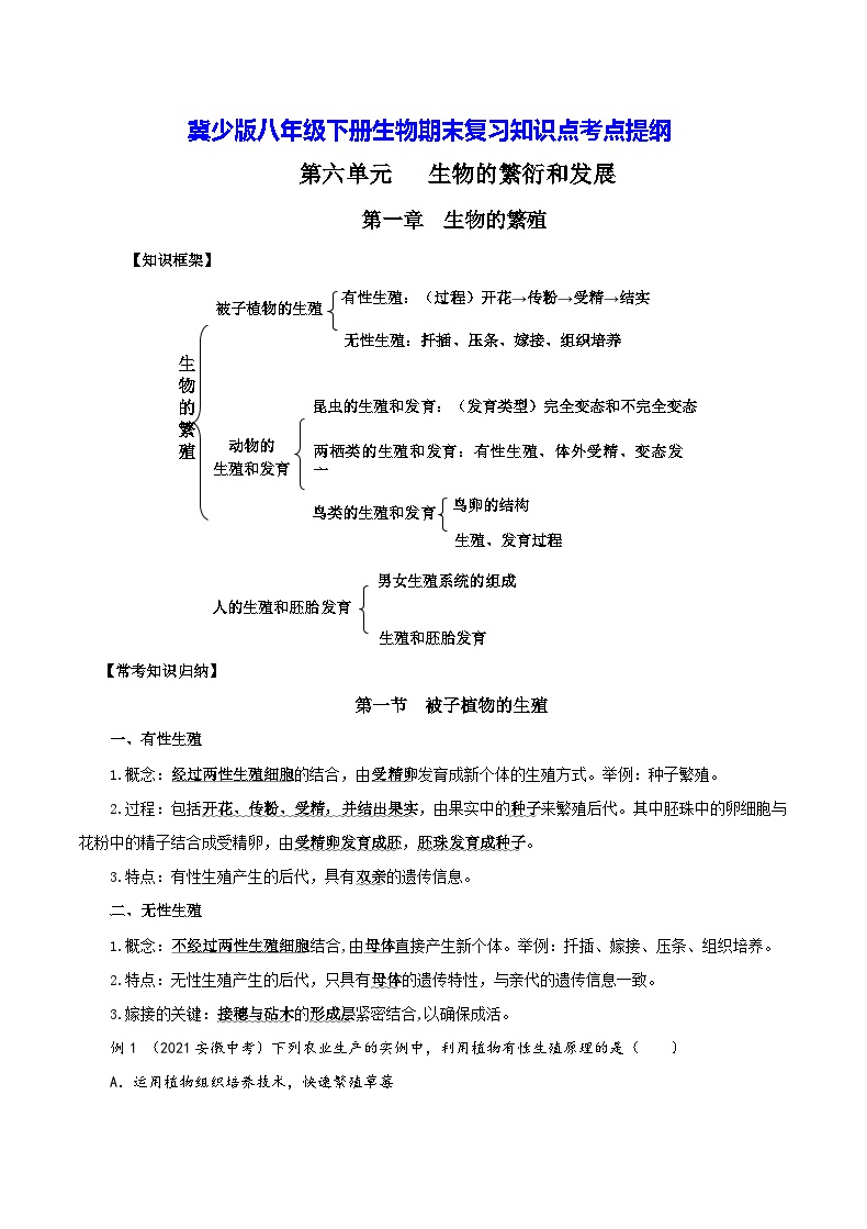 冀少版八年级下册生物期末复习知识点考点提纲