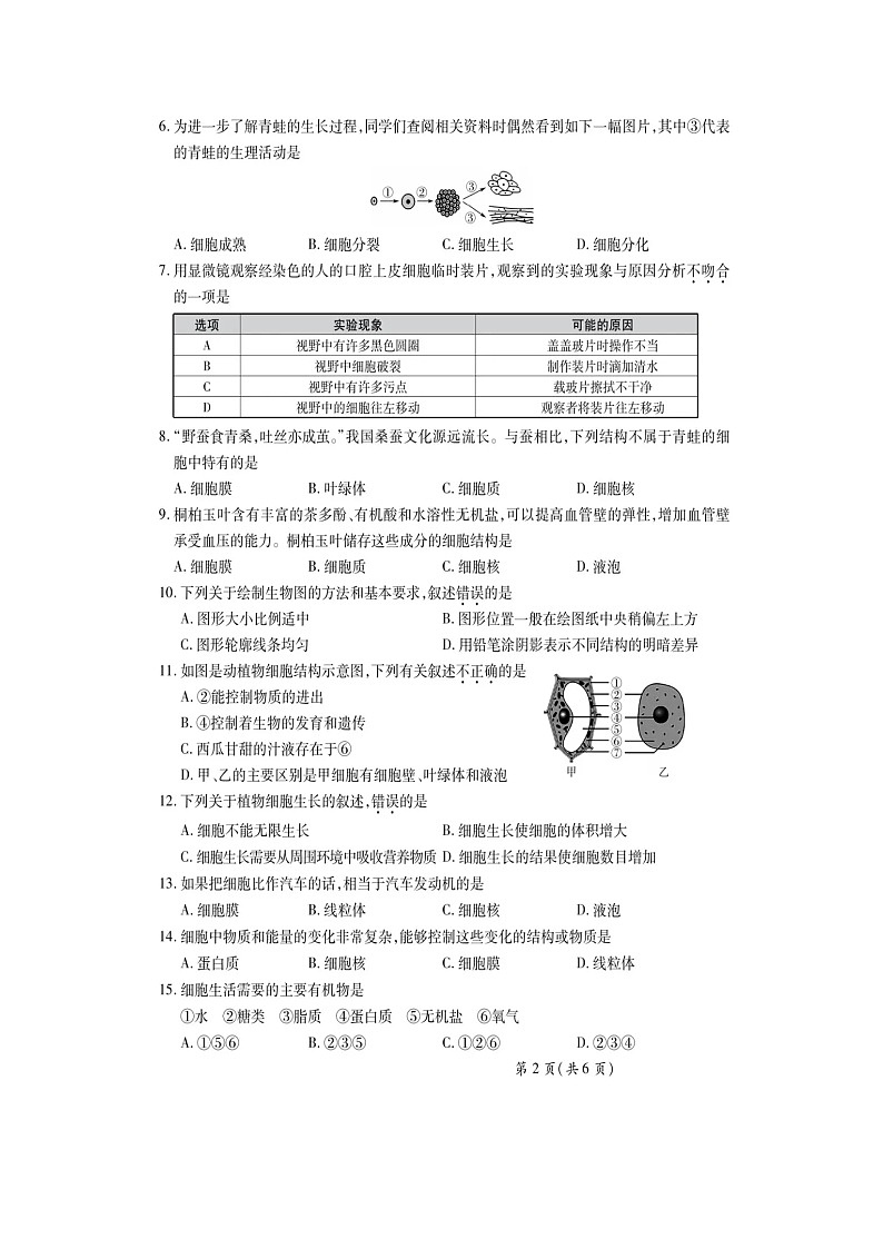 广东省佛山市顺德区杏联初级中学2024-2025学年七年级上学期9月考试生物试题卷第2页