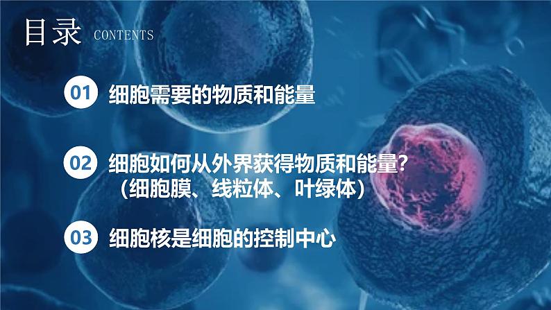 人教版(2024)七年级生物上册课件 1.2.4 细胞的生活02