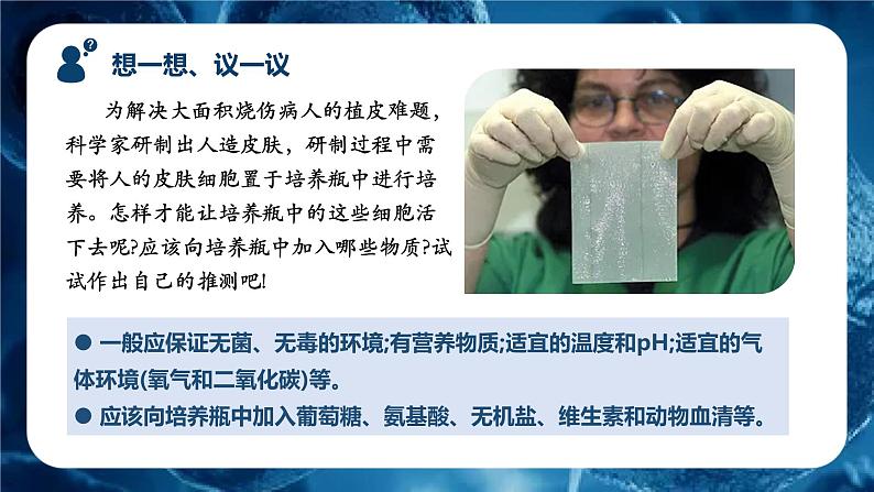 人教版(2024)七年级生物上册课件 1.2.4 细胞的生活03