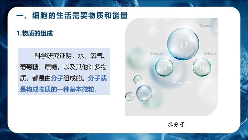 人教版(2024)七年级生物上册课件 1.2.4 细胞的生活06