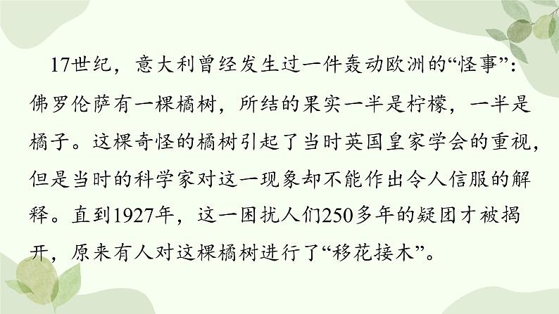 济南版生物八年级上册 第一章第七节 植物的无性生殖课件第3页