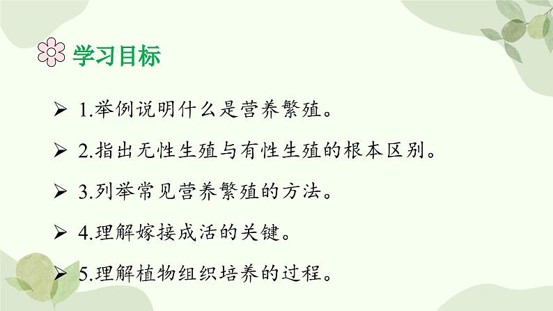 济南版生物八年级上册 第一章第七节 植物的无性生殖课件第4页