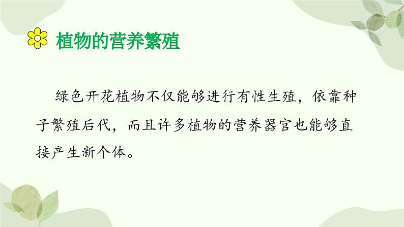 济南版生物八年级上册 第一章第七节 植物的无性生殖课件第5页