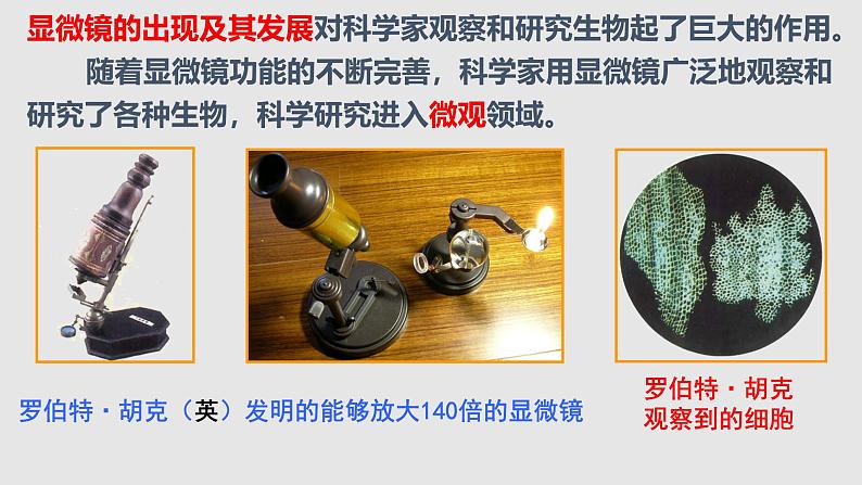 苏教版七年级生物走进生物学实验室课件第2页