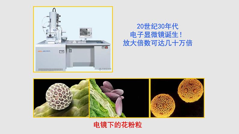 苏教版七年级生物走进生物学实验室课件第5页
