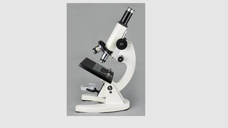 苏教版七年级生物走进生物学实验室课件第6页