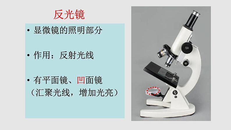 苏教版七年级生物走进生物学实验室课件第8页