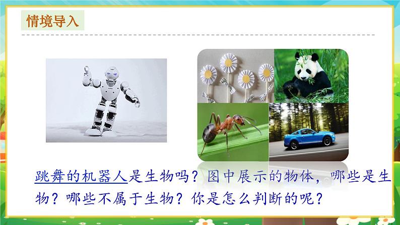【新教材新课标】人教版生物七上1.1.2生物的特征 课件+教案+习题(含答案)02