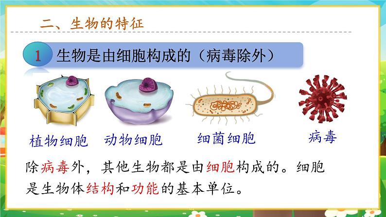 【新教材新课标】人教版生物七上1.1.2生物的特征 课件+教案+习题(含答案)06