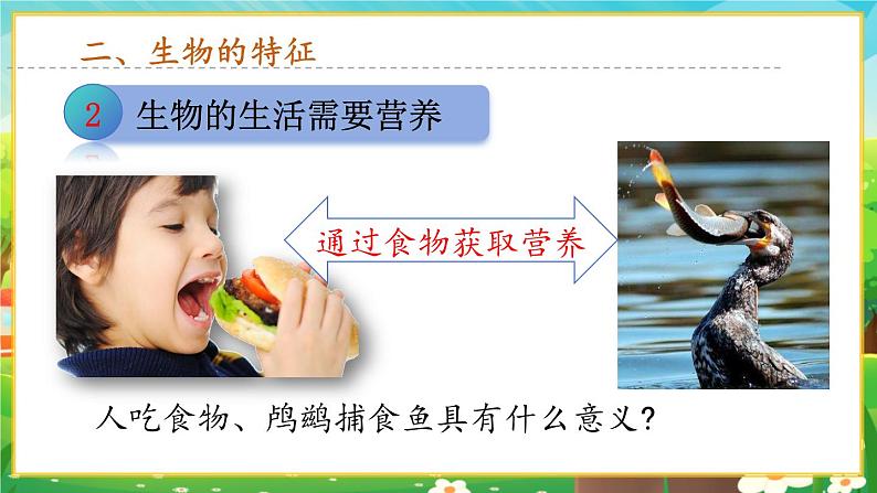 【新教材新课标】人教版生物七上1.1.2生物的特征 课件+教案+习题(含答案)07