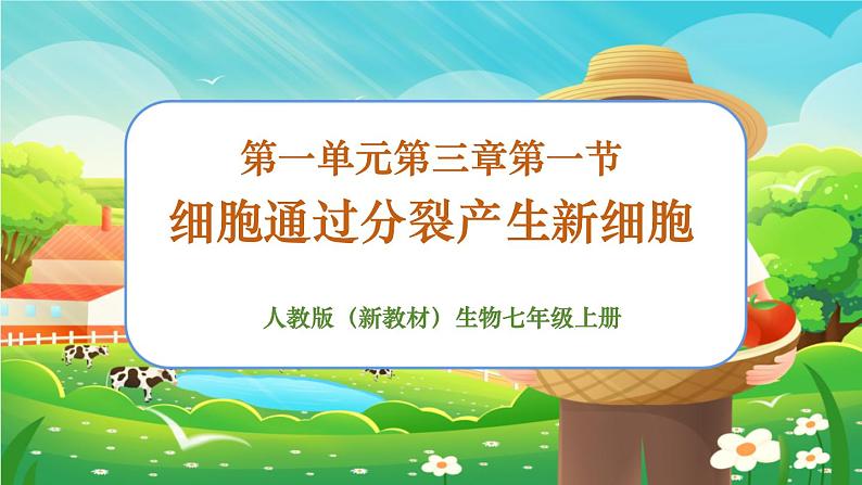 【新教材新课标】人教版生物七上1.3.1细胞通过分裂产生新细胞 课件+教案+习题(含答案)01