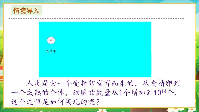 【新教材新课标】人教版生物七上1.3.1细胞通过分裂产生新细胞 课件+教案+习题(含答案)03