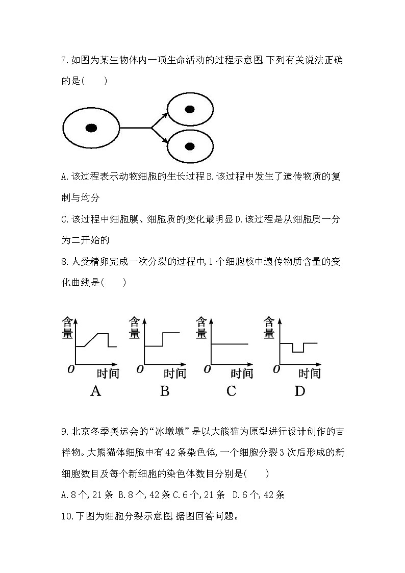 【新教材新课标】人教版生物七上1.3.1细胞通过分裂产生新细胞 课件+教案+习题(含答案)02