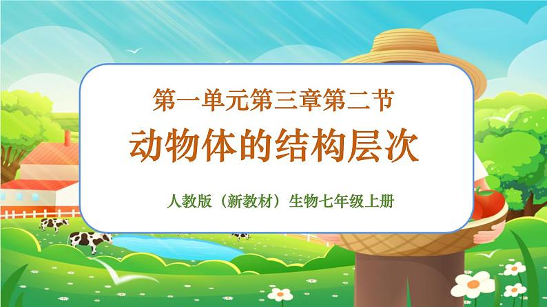 【新教材新课标】人教版生物七上1.3.2动物体的结构层次 课件+教案+习题(含答案)01