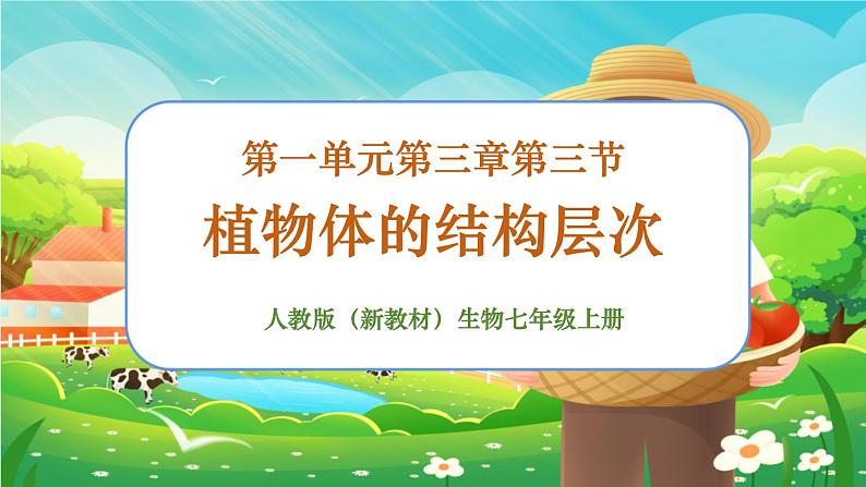 【新教材新课标】人教版生物七上1.3.3植物体的结构层次 课件+教案+习题(含答案)01