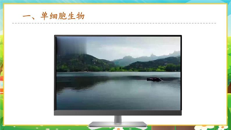 1.3.4 单细胞生物课件第3页