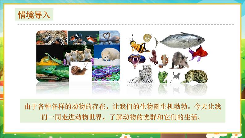 【新教材新课标】人教版生物七上2.2.1无脊椎动物 课件+教案+习题(含答案)02